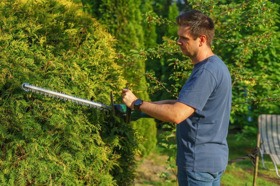 Entretien de jardin : taille de haie par un jardinier professionnel